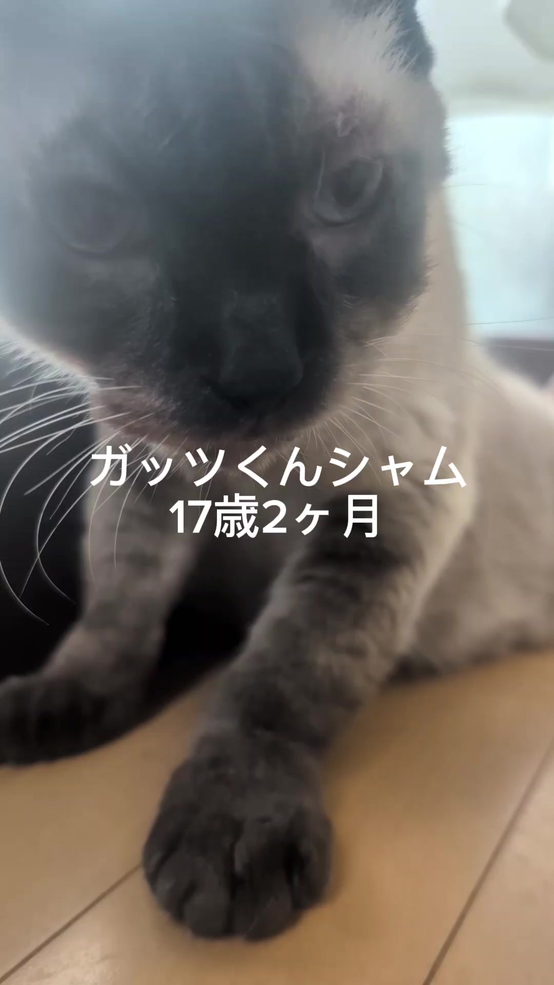 @睡眠プロデュース