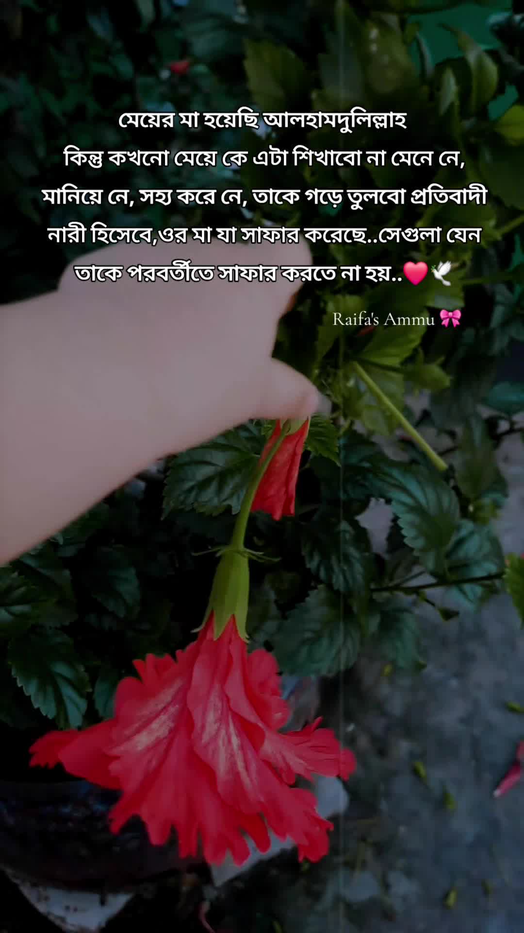 @𝐑𝐚𝐢𝐟𝐚'𝐬 𝐀𝐦𝐦𝐮 🎀