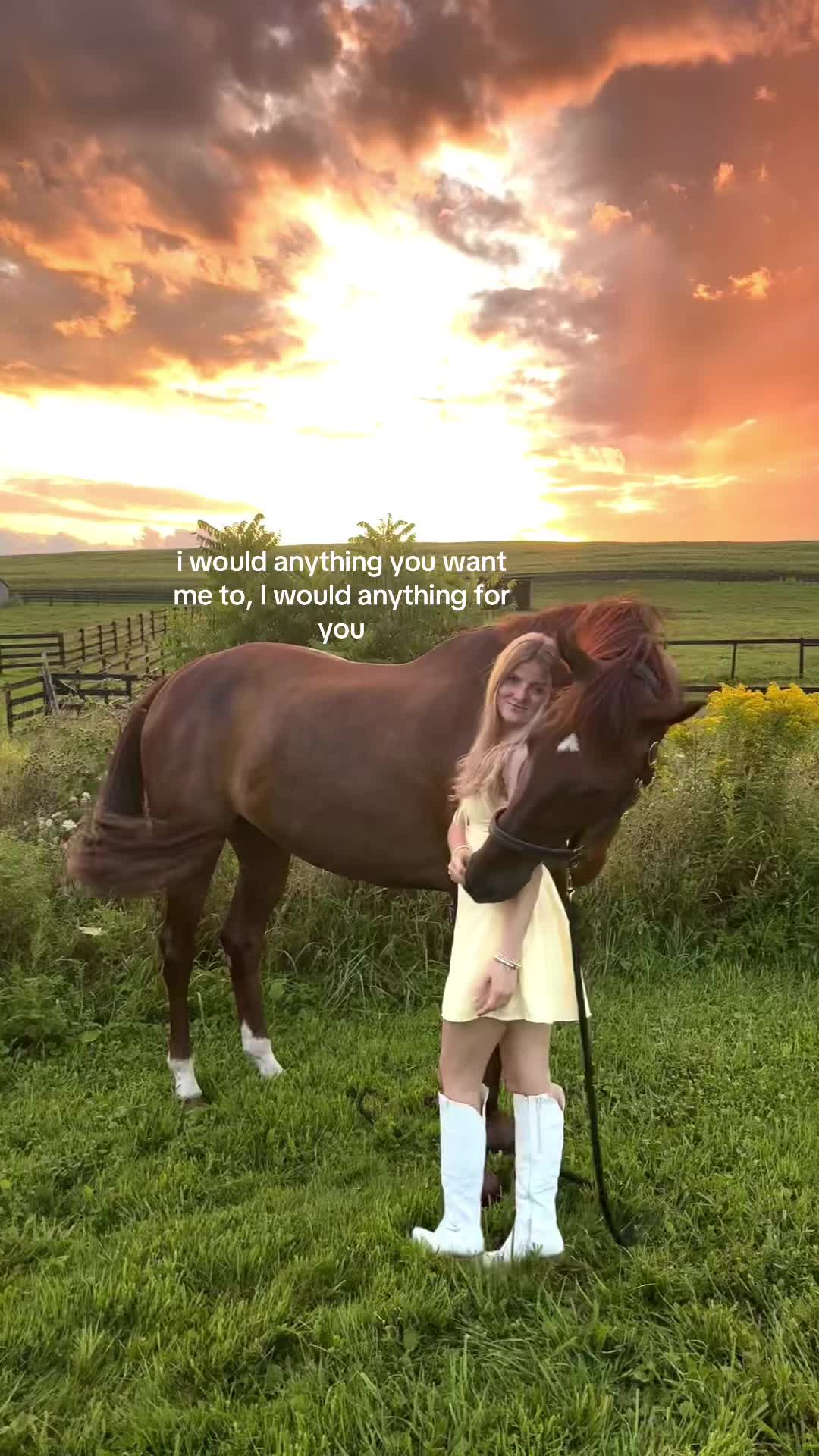@Katie & Nitro
