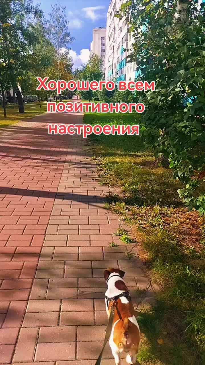 @людмила позитивчик