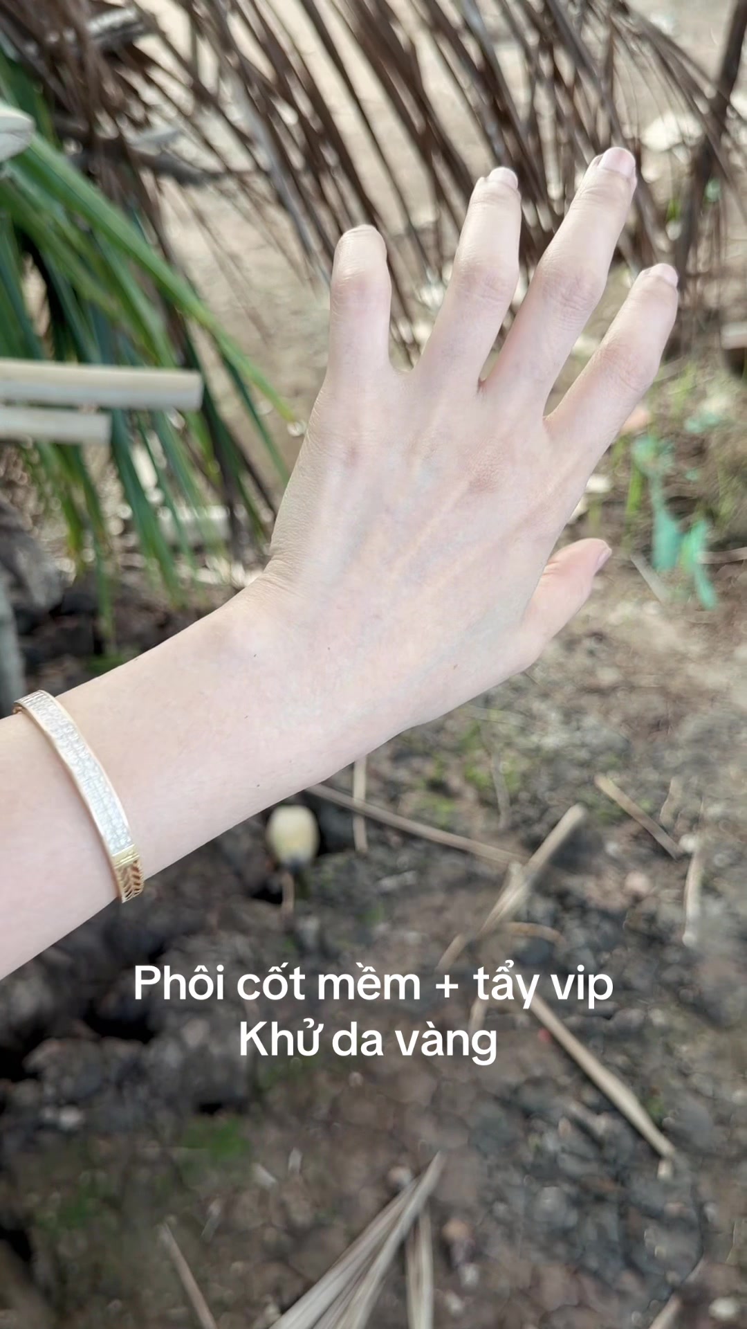 @hồng ân