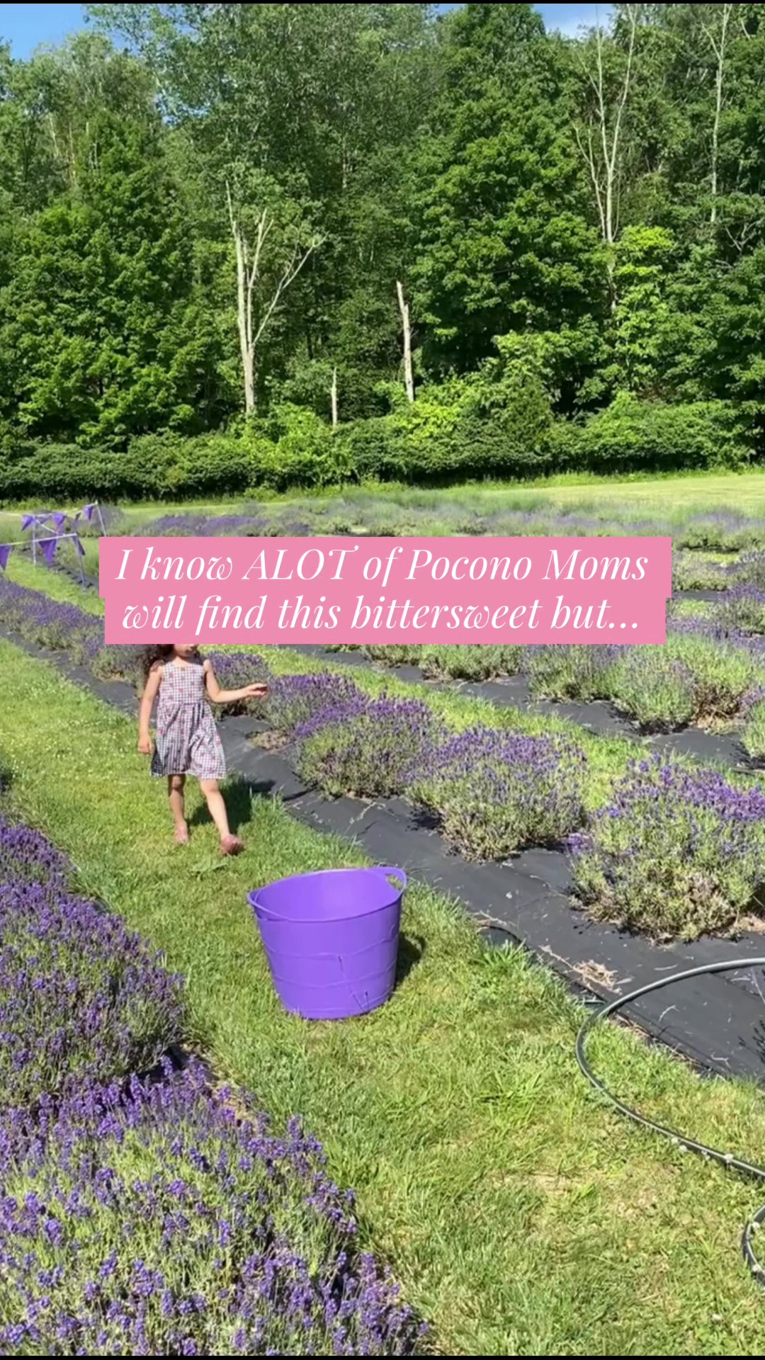 @thatpoconosmom