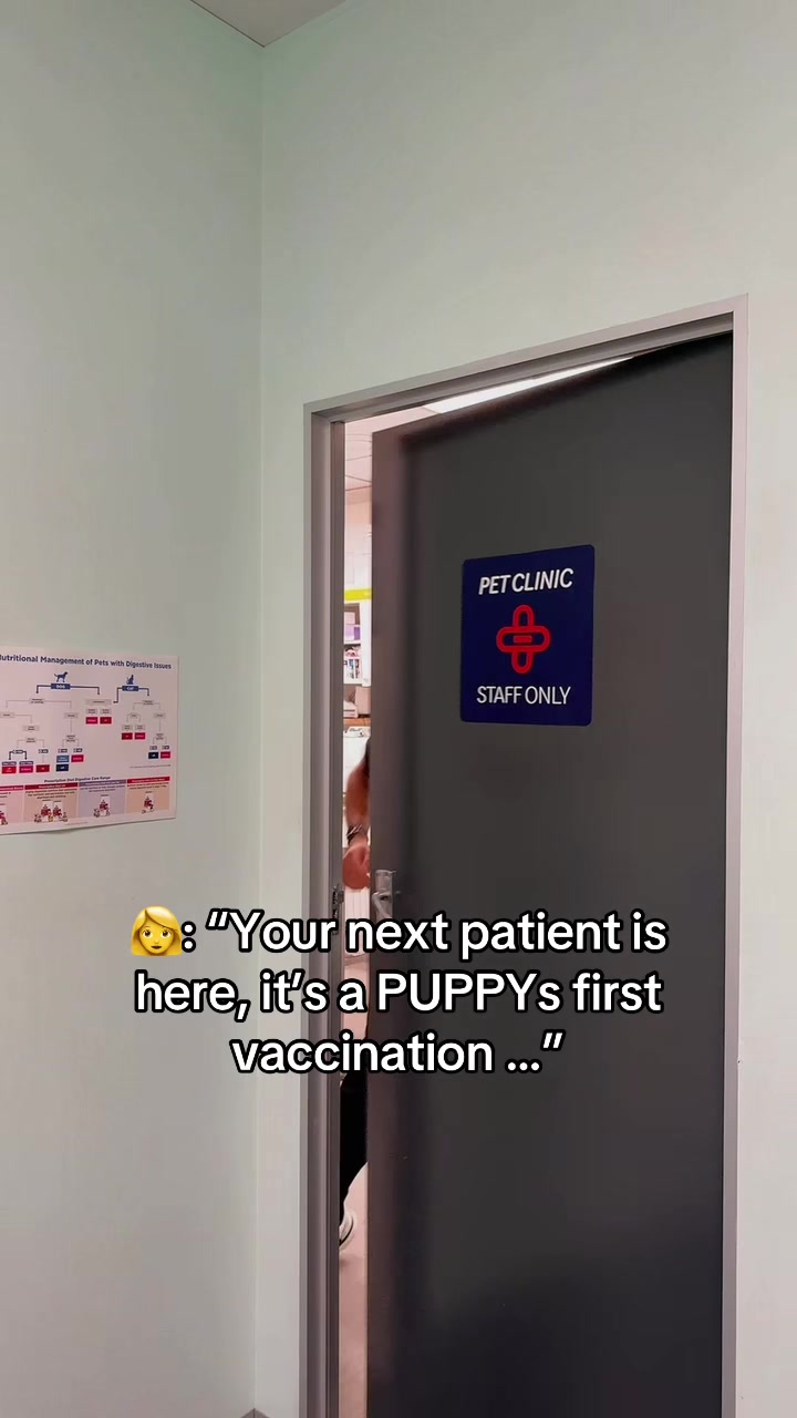 @Amir the vet