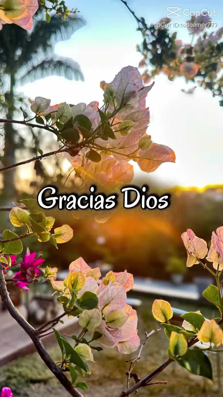 @Apc. 🙏 Dios es Amor❤️🌹