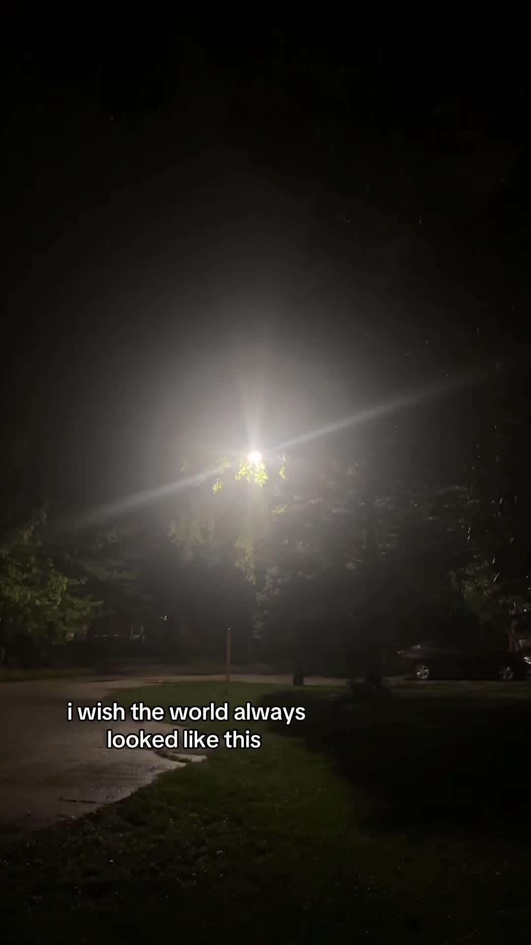 @curtkocaine