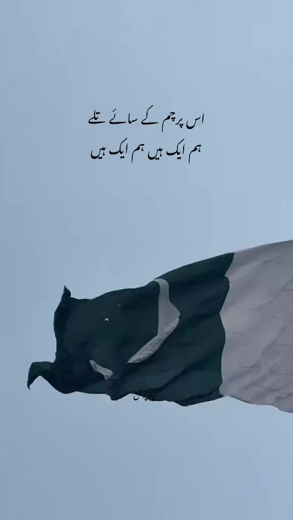 @سیاہ پوش🖤