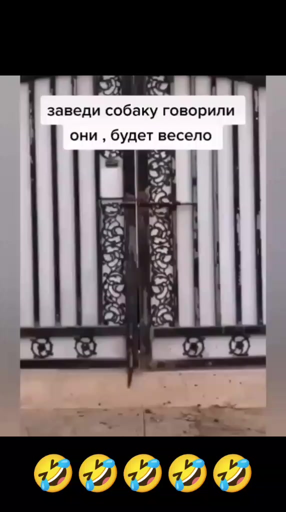 @Дэнчик Кэт