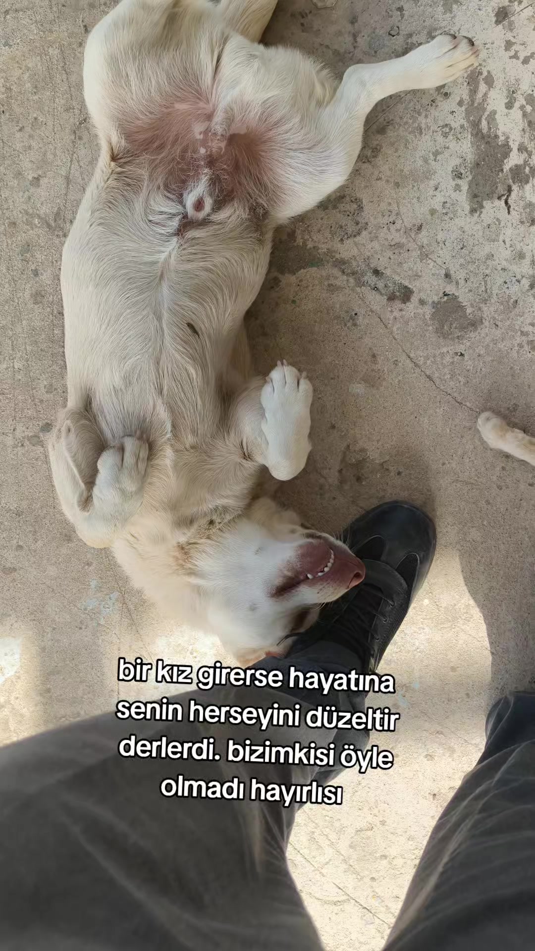 @M