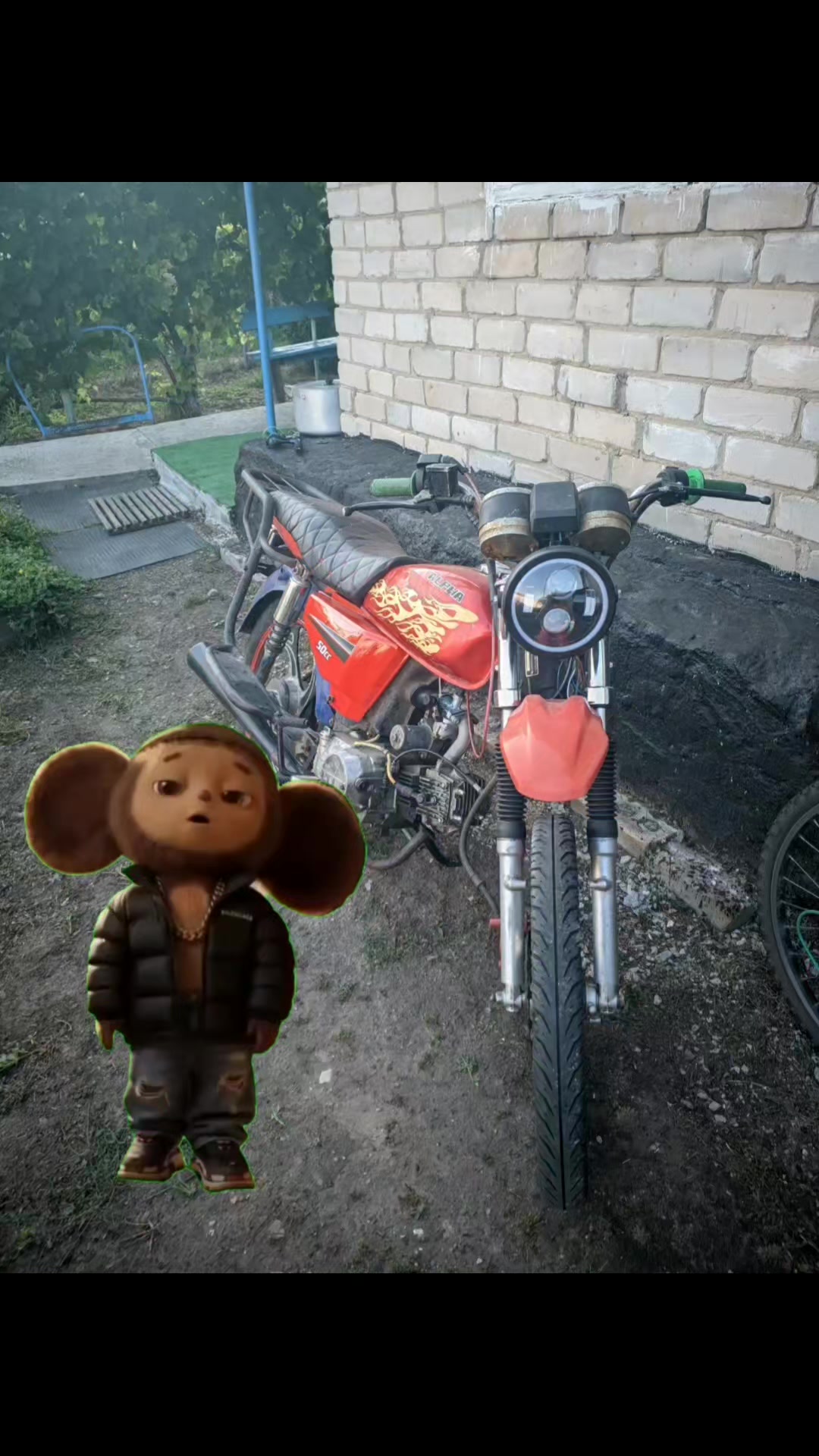 @☦УЧЁНЫЙ НА АЛЬФЕ☦ [🇷🇺☮]