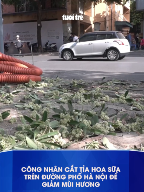 @B&aacute;o Tuổi Trẻ