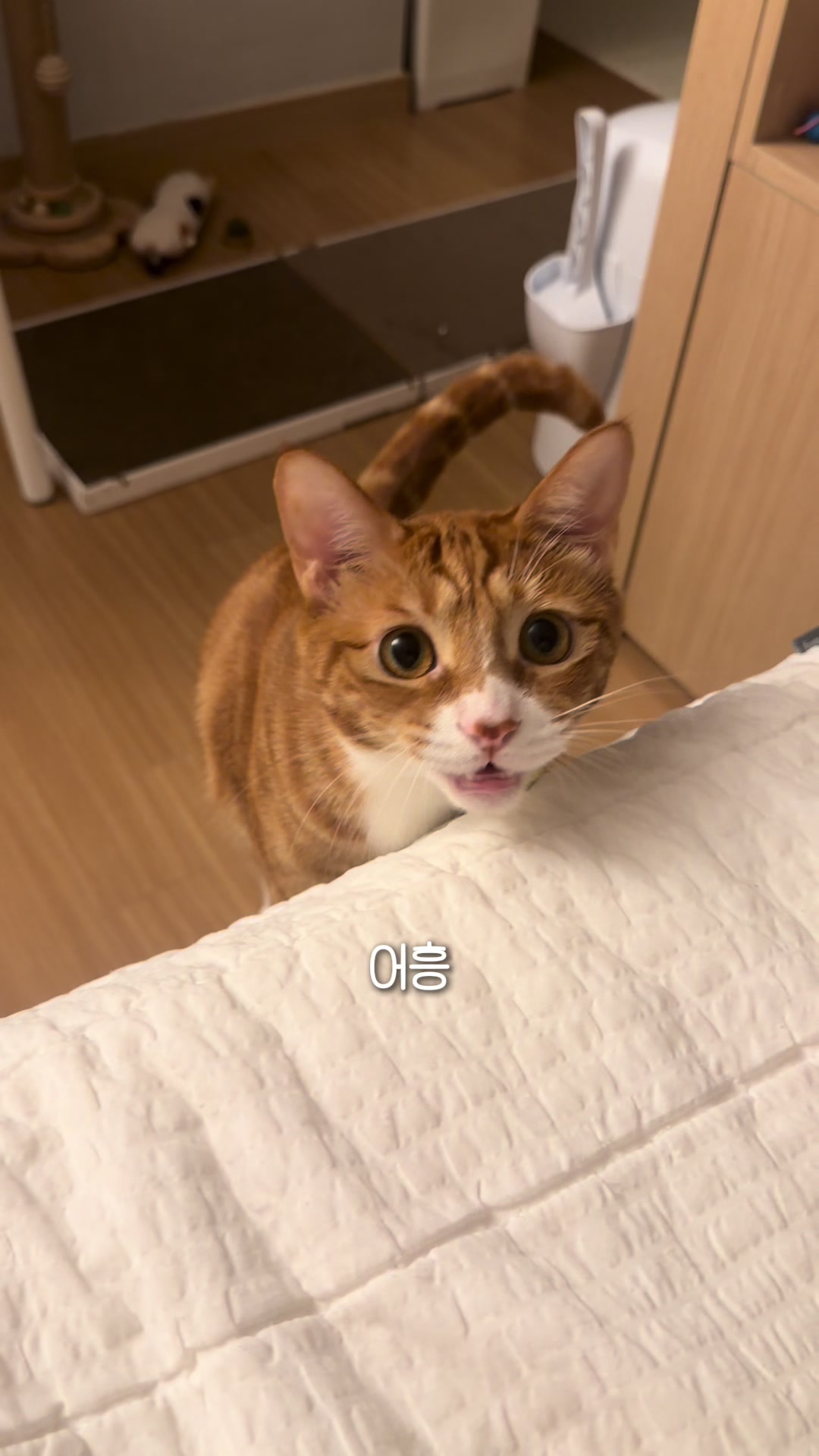 @뮤춘삼