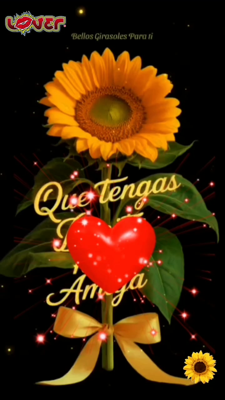 @LOVE❤️🌻Girasol🌻🌻❤️🌻❤️💞