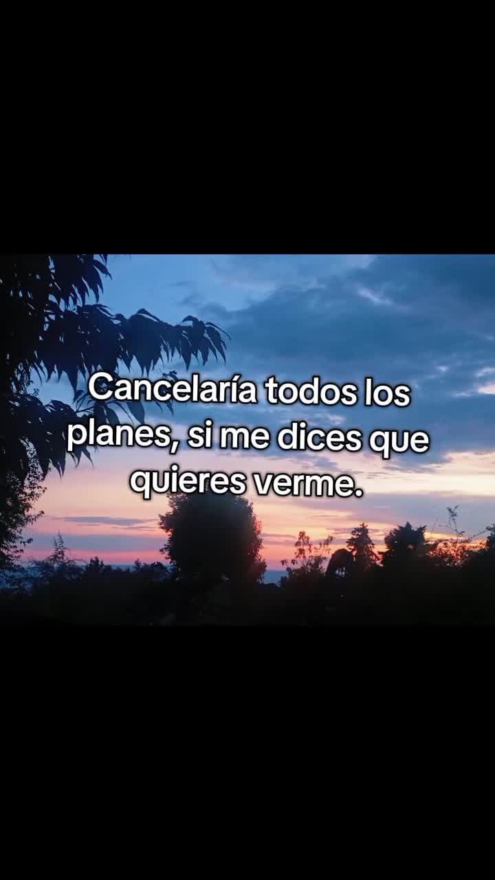 @Brenda Alonso