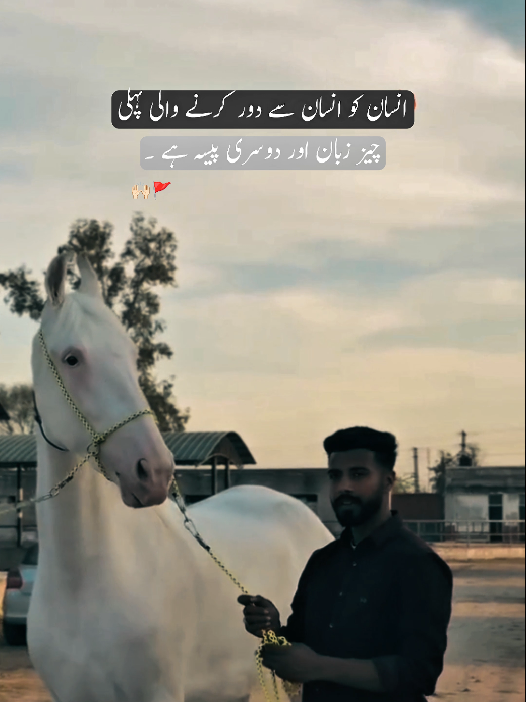 @𓆩𝐅𝐱𝐢𝐳𝐢𓆪