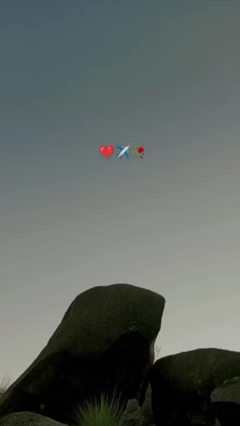 @☠️چوٹا سید ناواب🦅