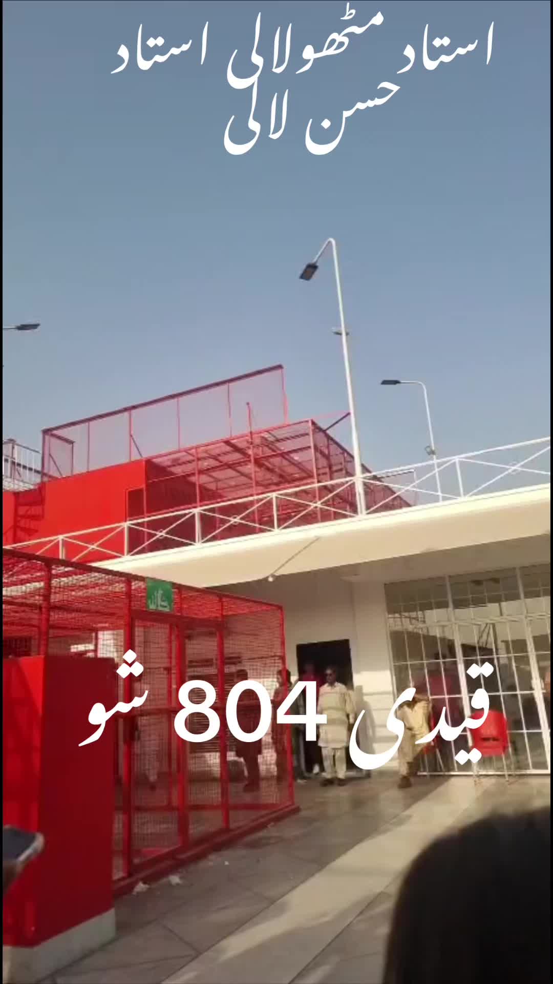@pigeonpunjab0