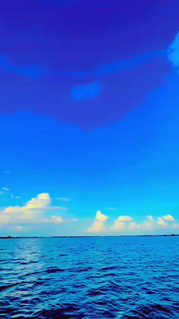 @💫💫🚷🚷🦋💫
