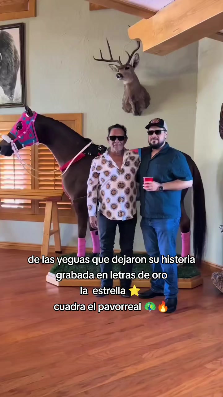 @carriles altos de jalisco🐎