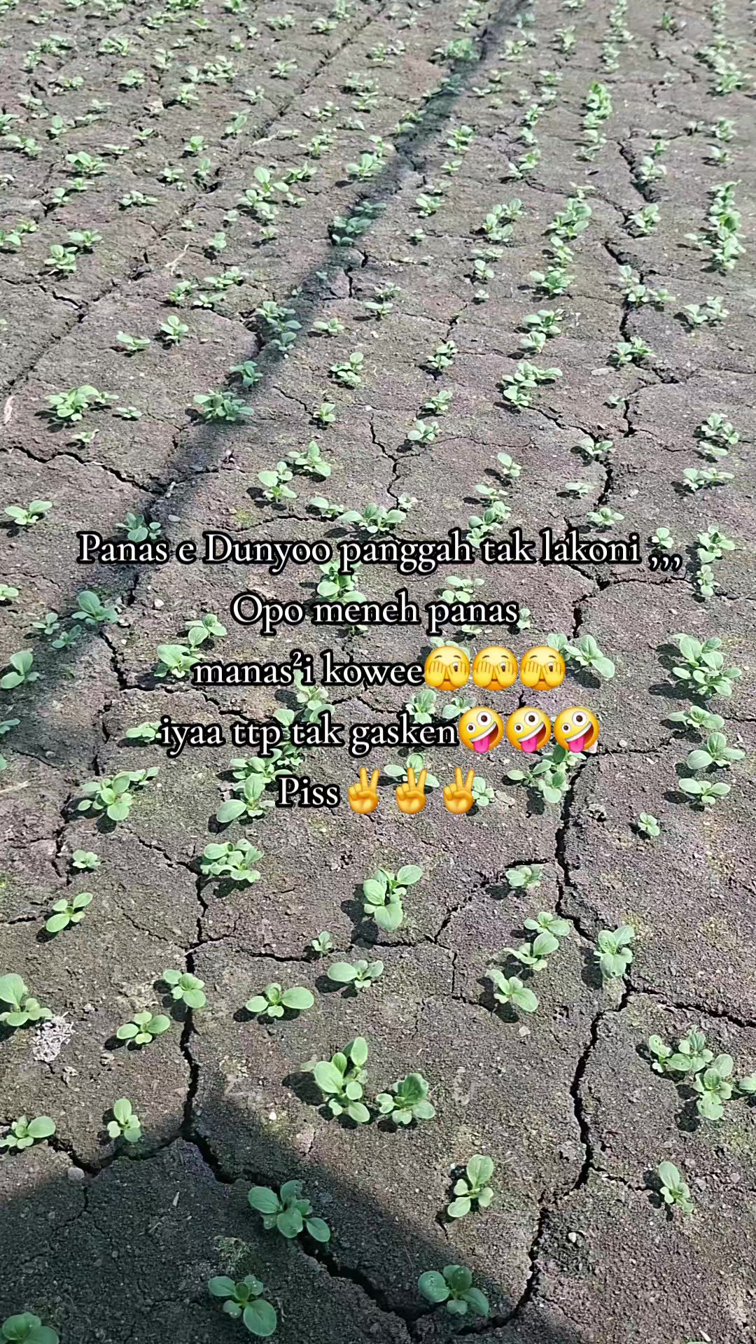 @Zhyn'TAUCE🔪🇲🇨🇹🇼🐅