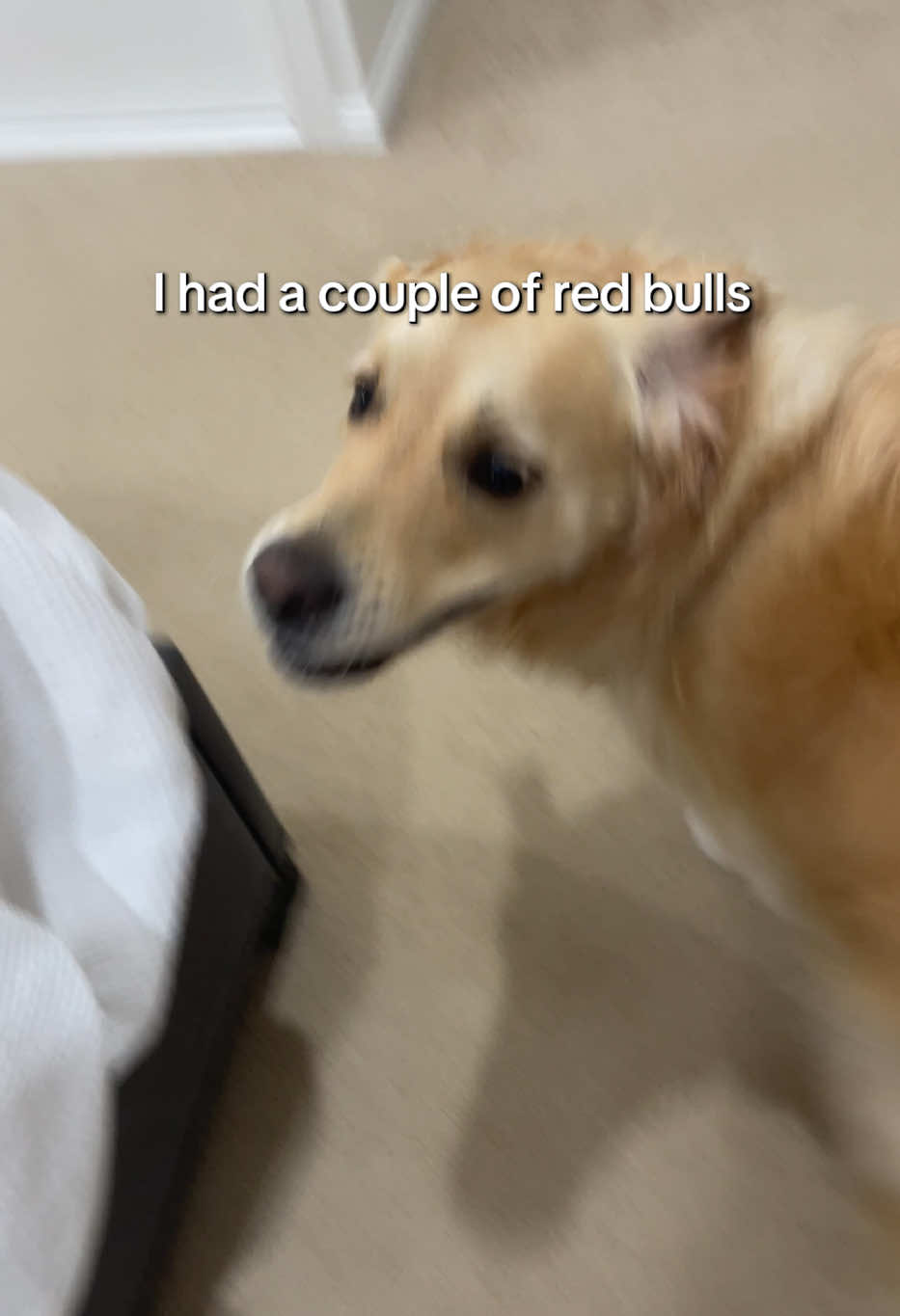 @lunas_golden_life
