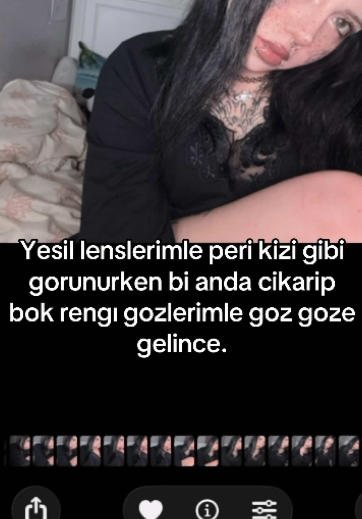 @⦻lolidog4