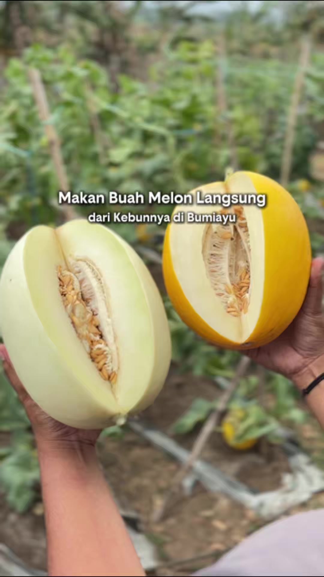 @Rizqiamirulft | Richfoodhunter
