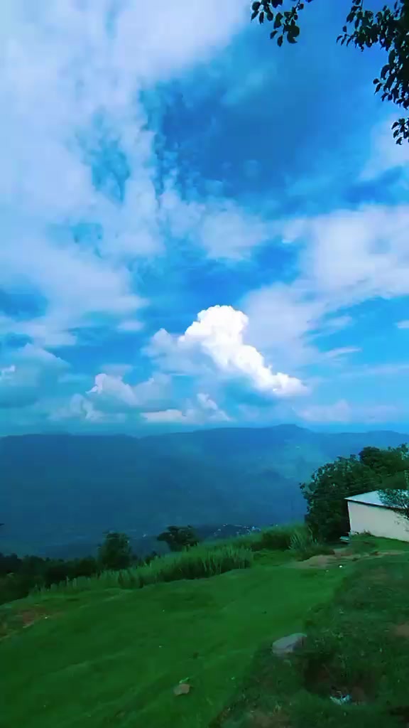 @SabaAbbasi