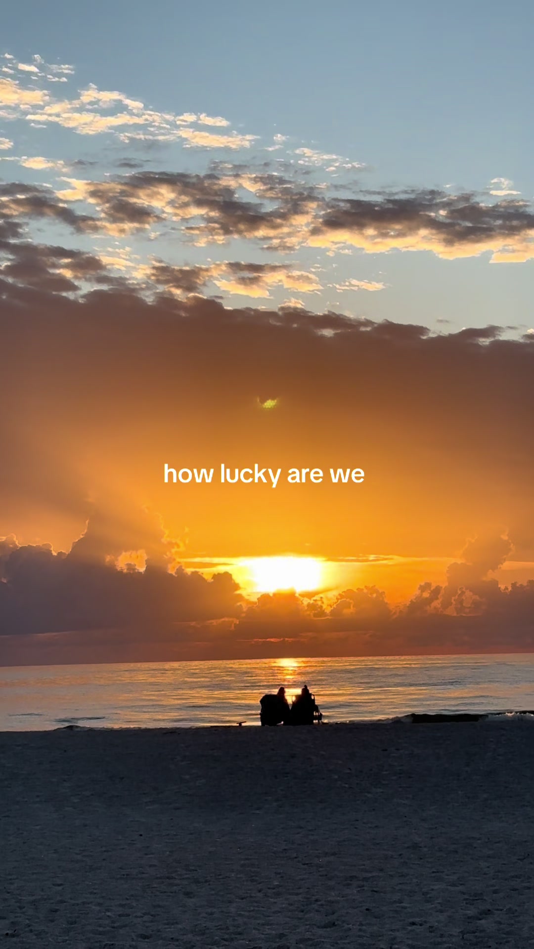 @hollyn🐞- OMS IV