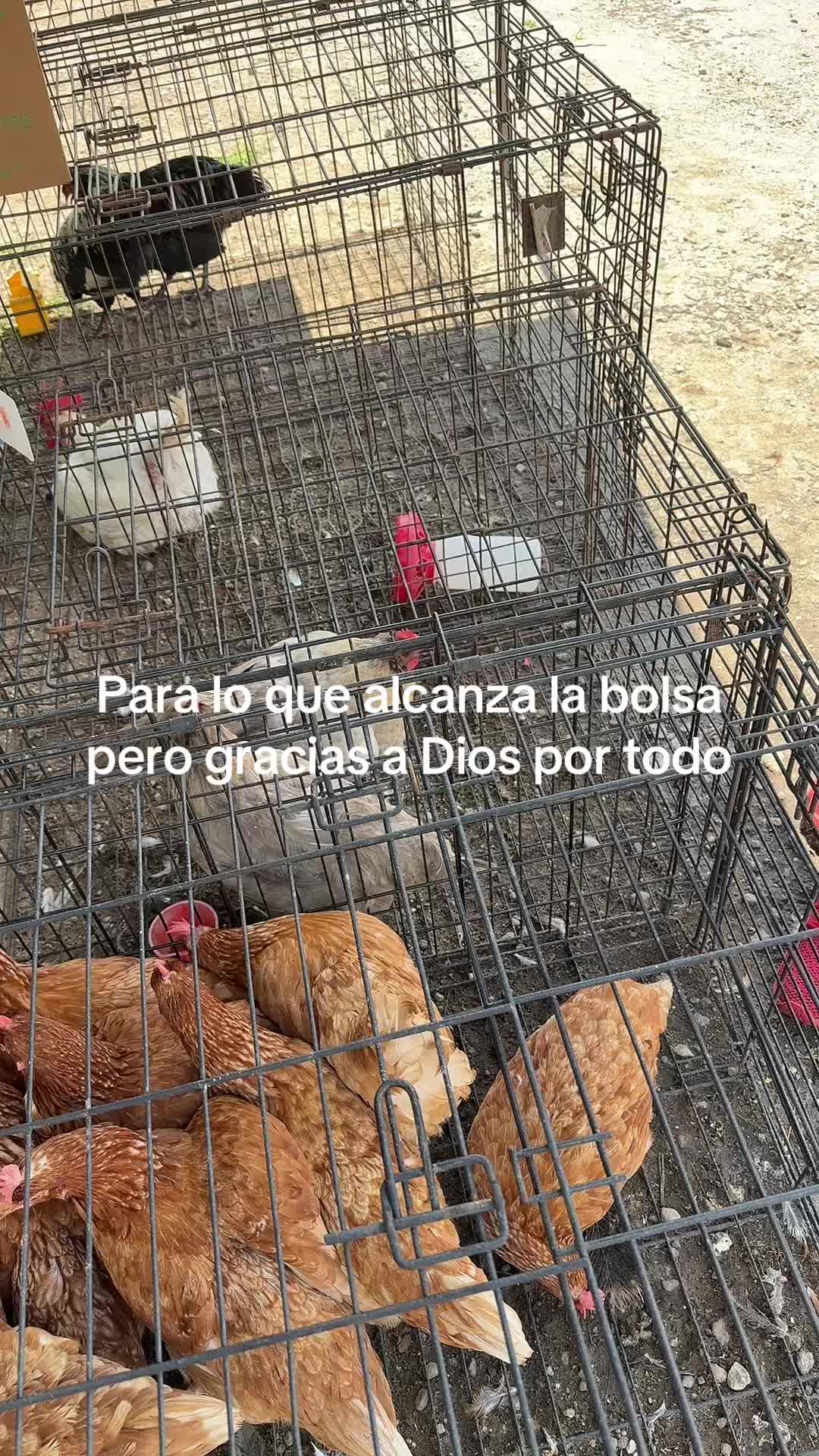 @el pay