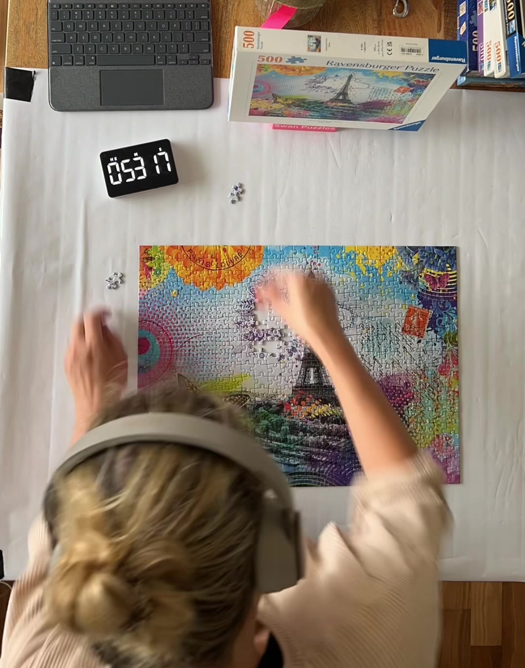 @Swan Puzzles