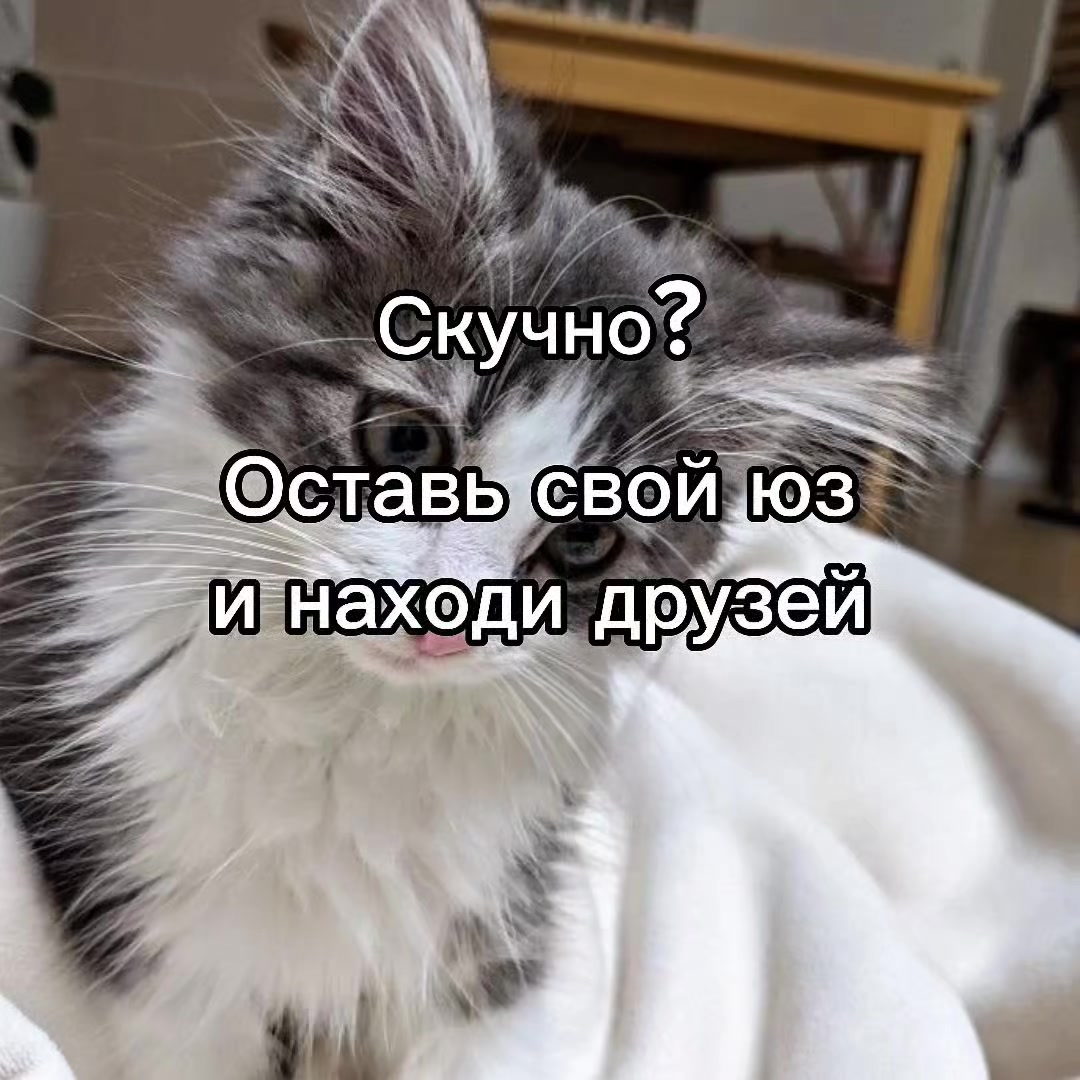 @mivrac