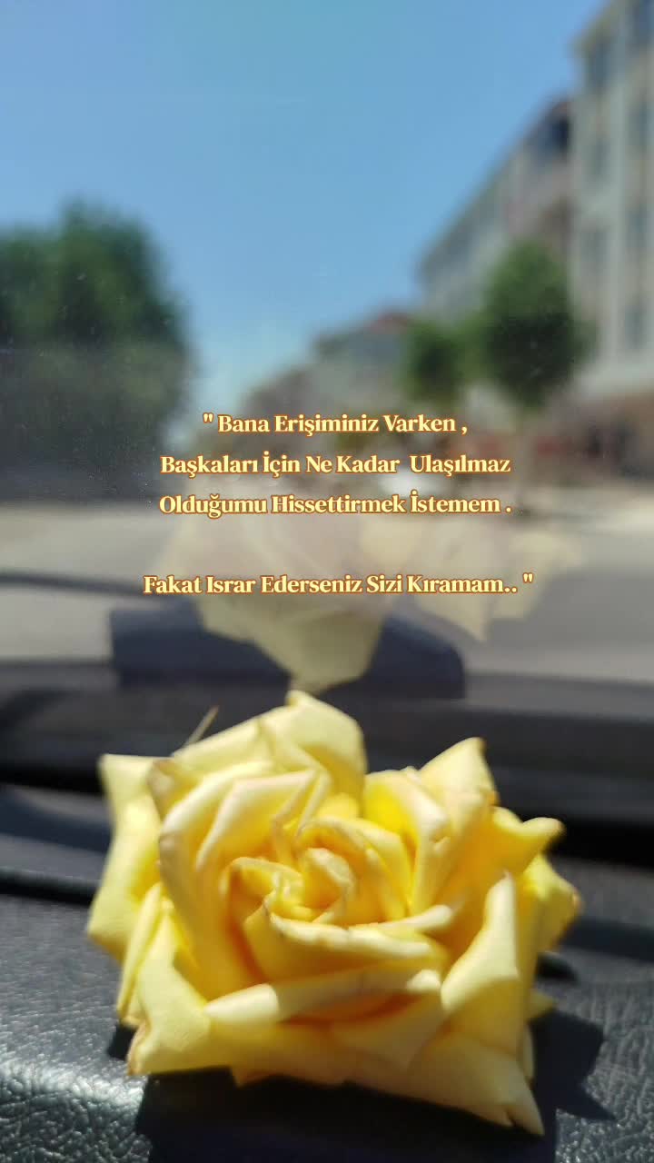 @Türkan kaya