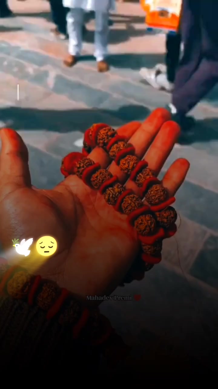 @PalbiQueen