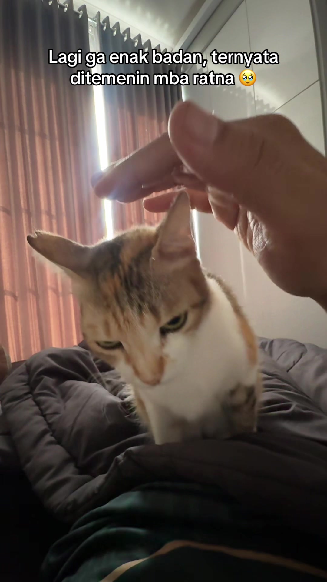 @Rapalguna | bapakkucing 🐱