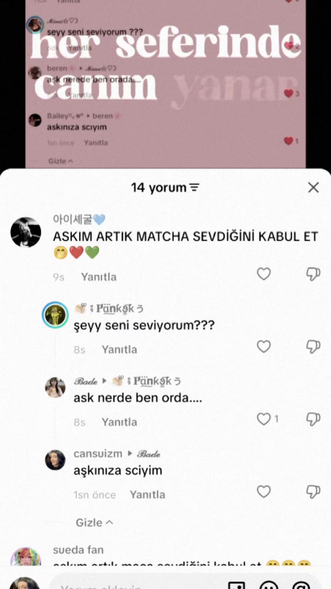 @cansuizm