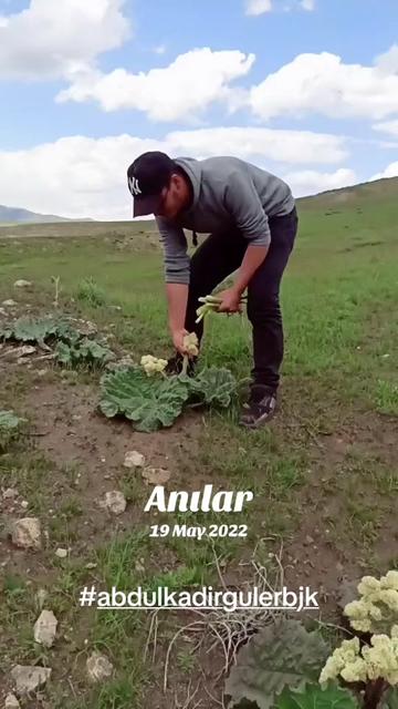 @abdulkadirgulerbjk