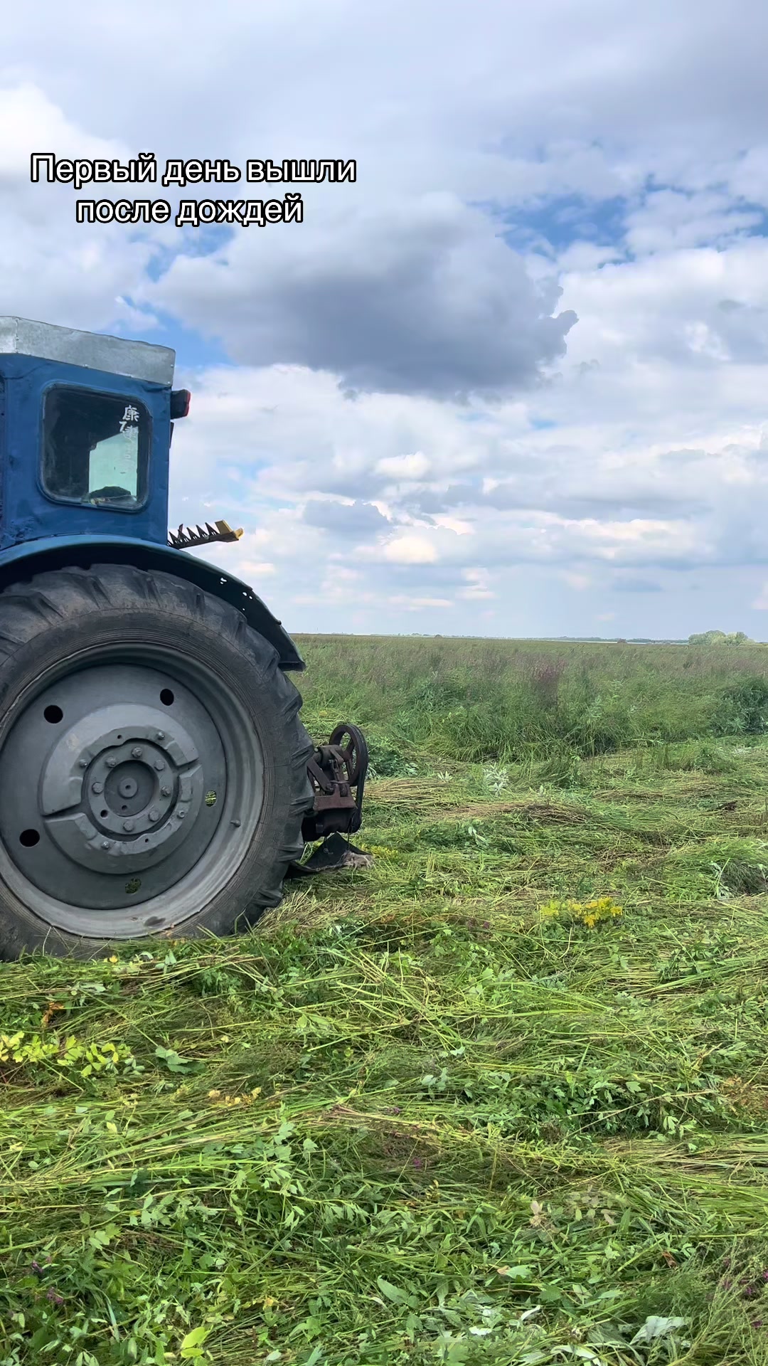@Аня | Деревенский дневник🌿