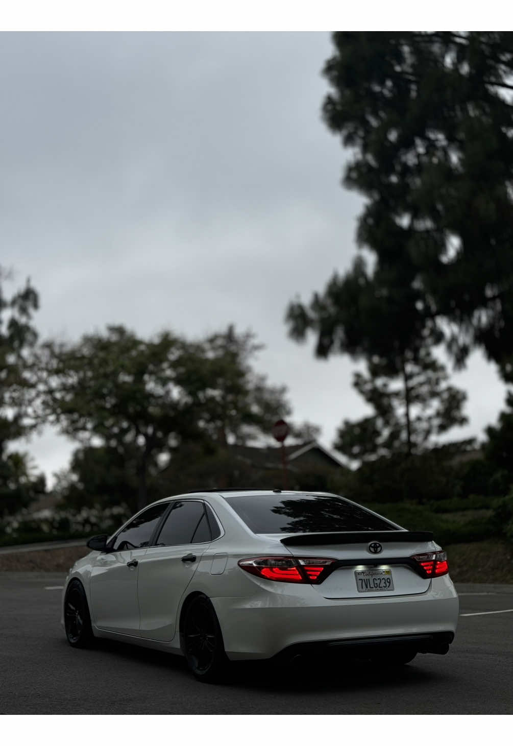 @eduardo.a_2