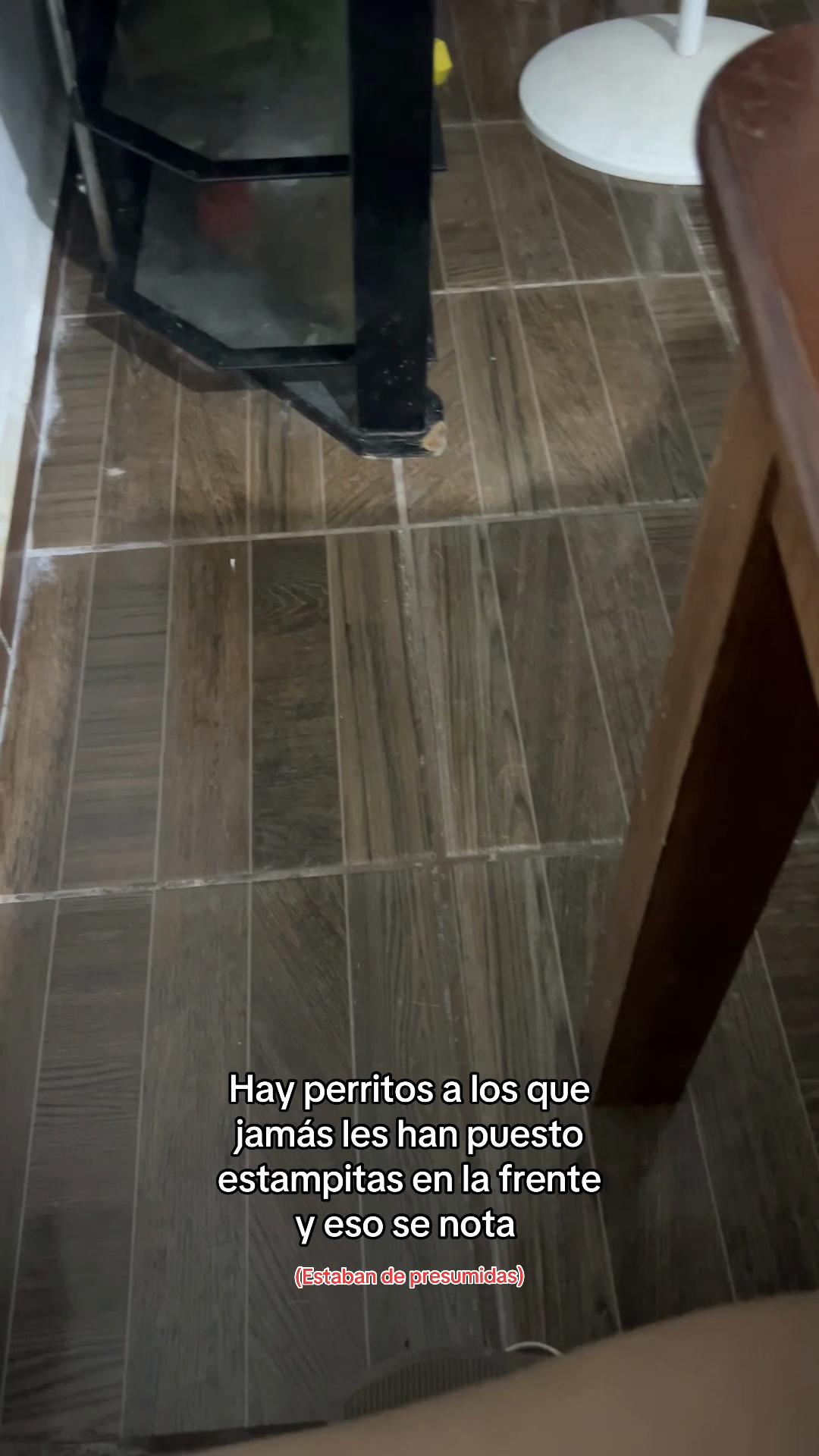 @Vicky Mateo | Psic&oacute;loga