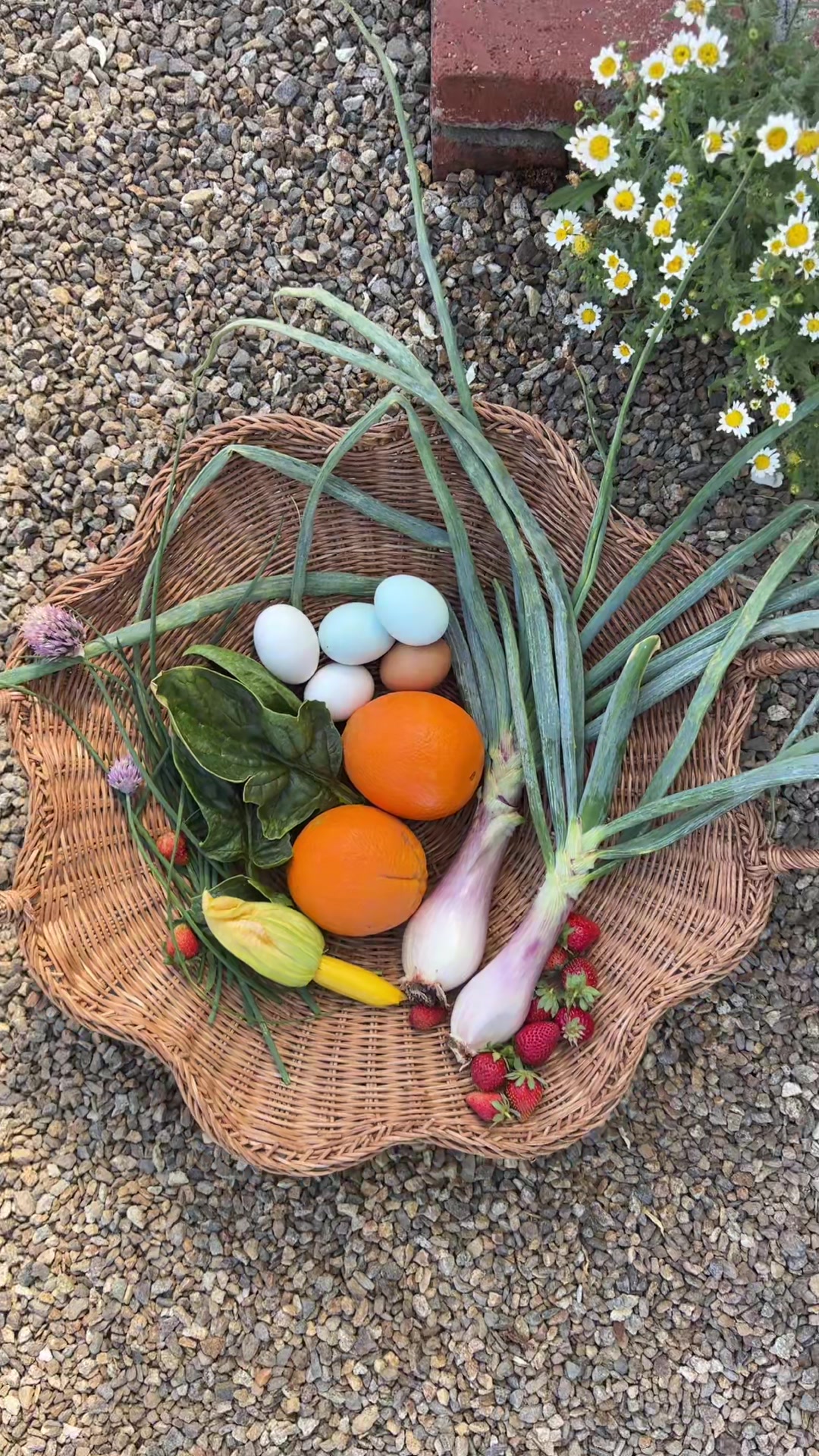 @earthboundgardening