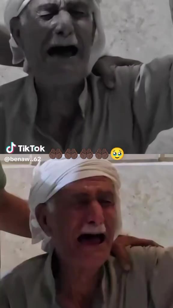@elfidamm