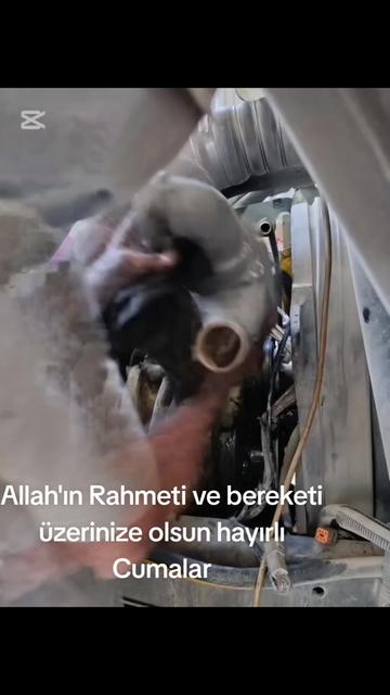 @kulalı_erdalusta