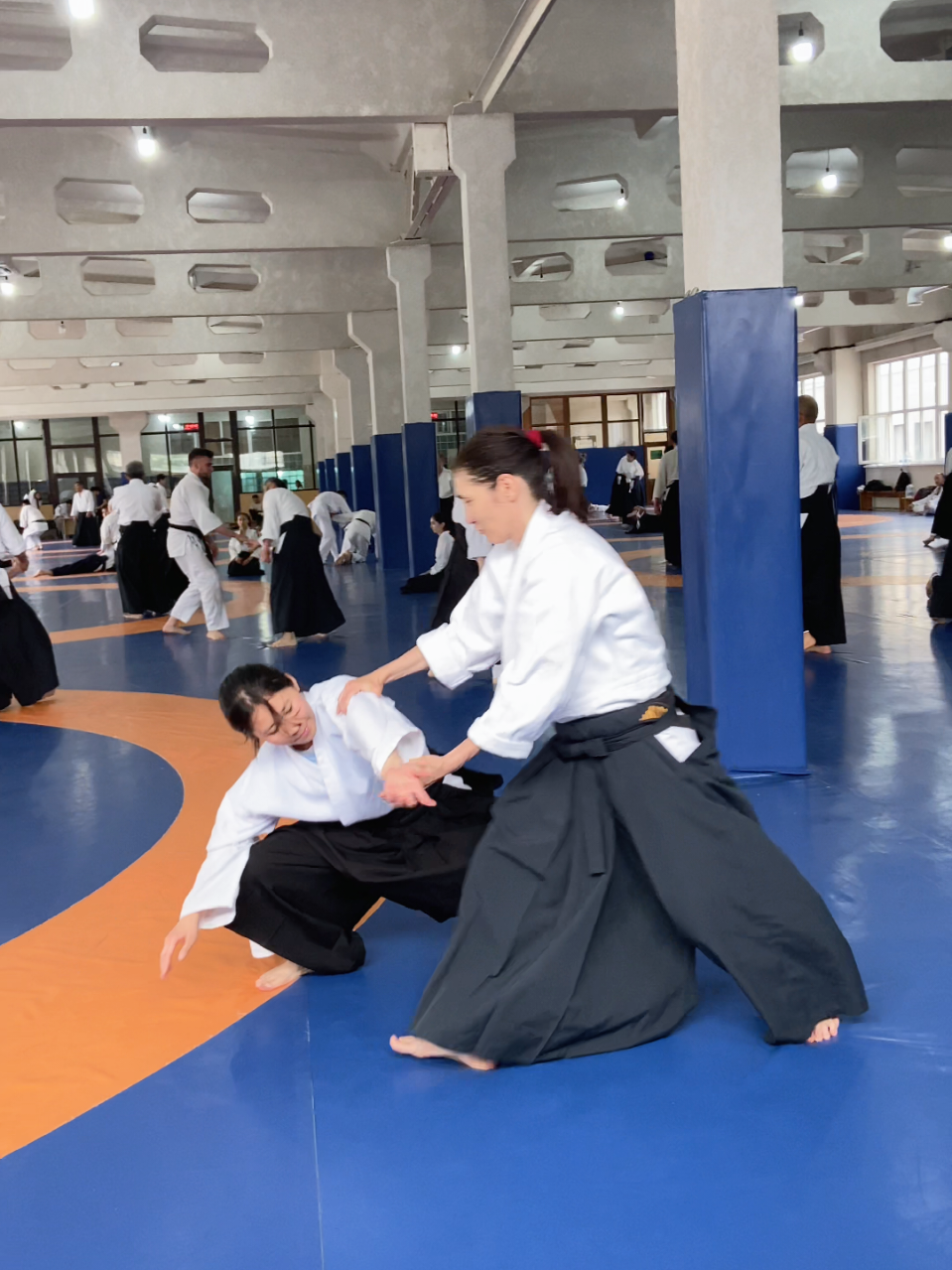 @Angelina_aikido
