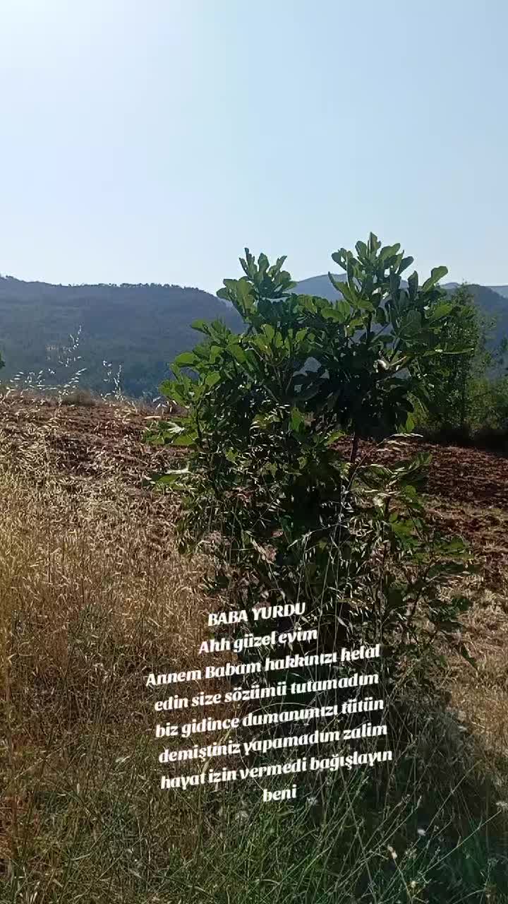 @Halil Efe. yılmaz