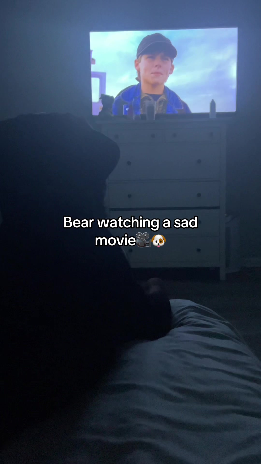 @Bear