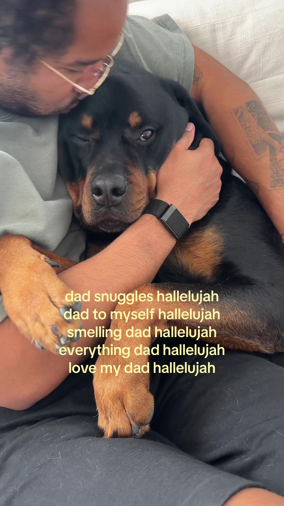 @Moose The Rottie