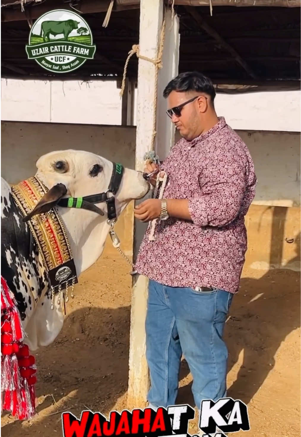 @Raid by Karachi Mandi Scnz