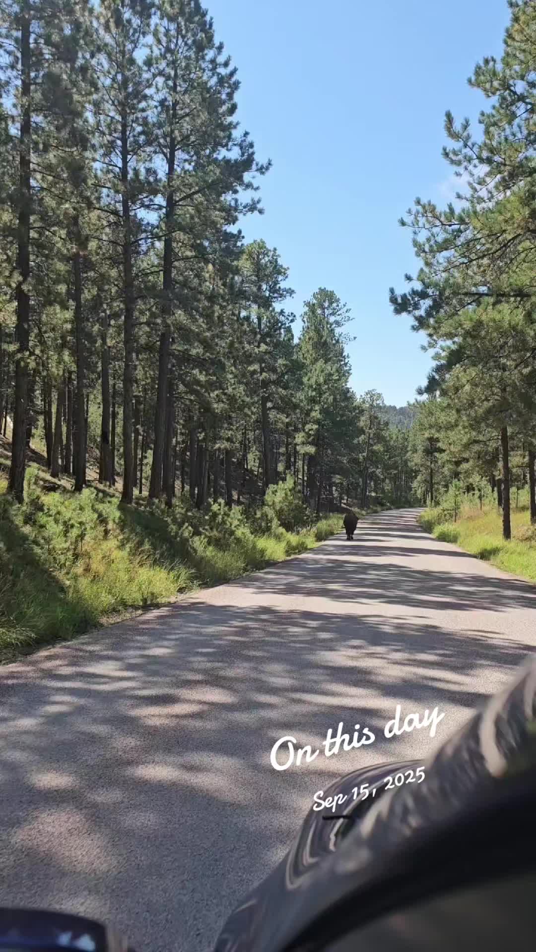 @IDnative ❌️