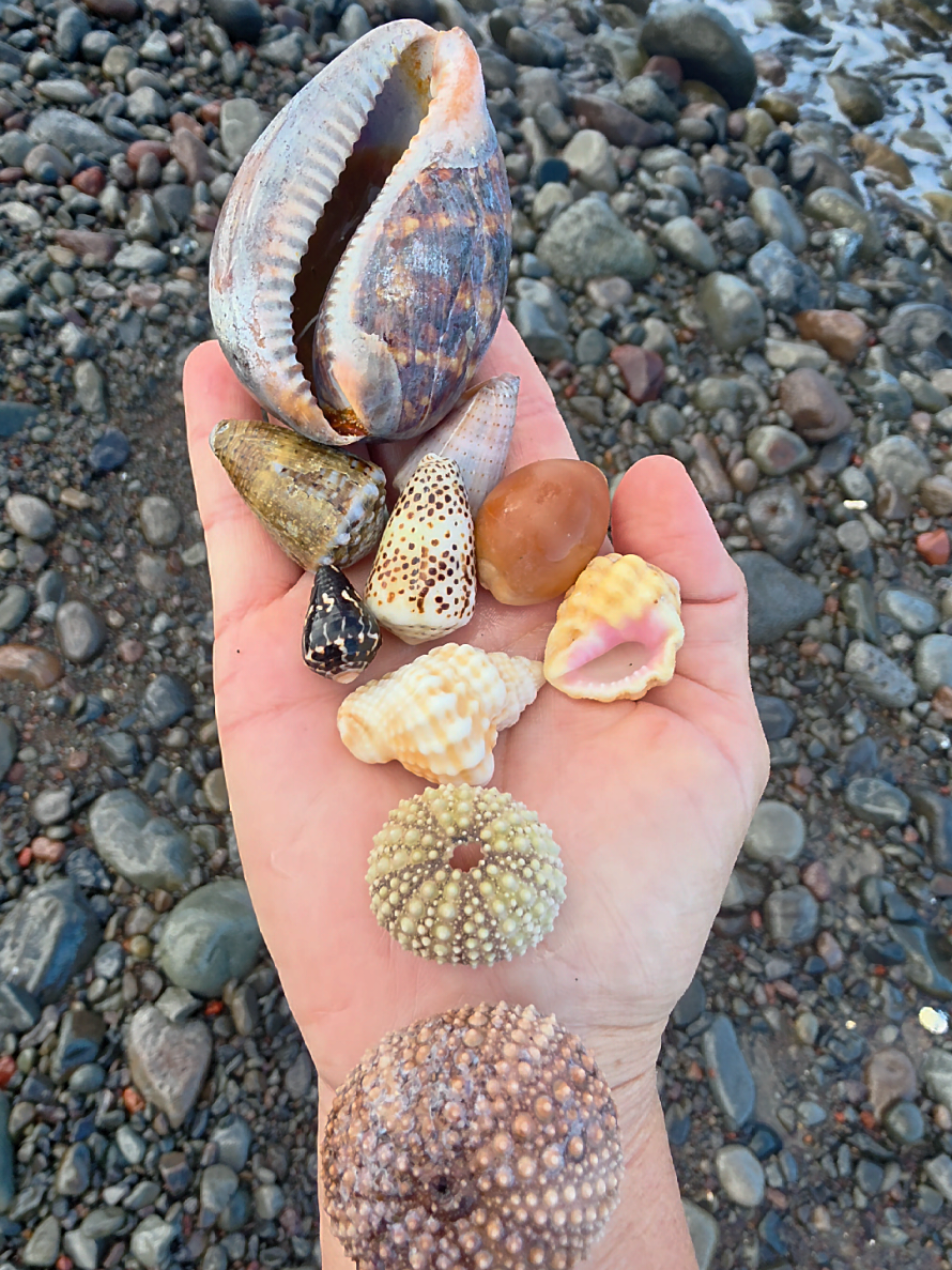 @Noe ๐ Shells