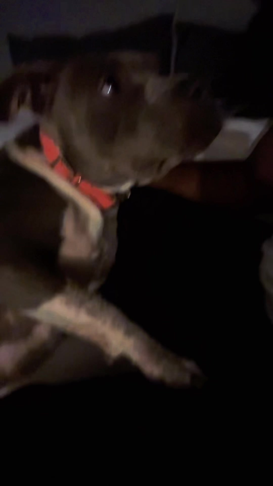 @blackshawntv
